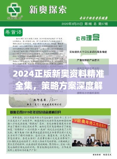 2024正版新奥资料精准全集，策略方案深度解析_RZI61.683亲和版