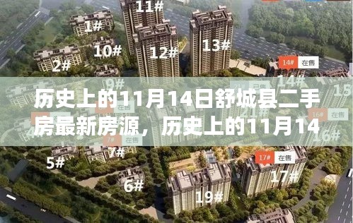 历史上的11月14日舒城县二手房市场最新房源揭秘与揭秘最新房源动态