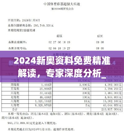 2024新奥资料免费精准解读，专家深度分析_BDX18.263旗舰版