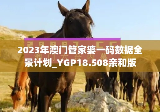 2023年澳门管家婆一码数据全景计划_YGP18.508亲和版