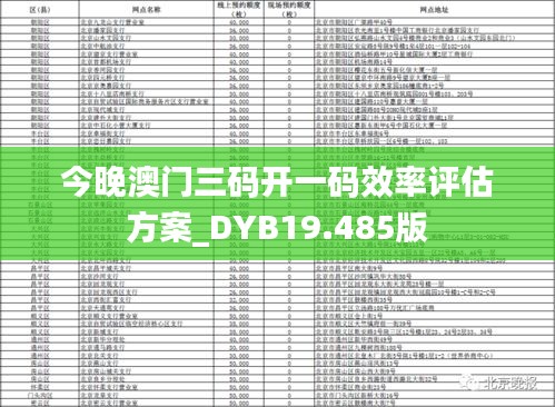 今晚澳门三码开一码效率评估方案_DYB19.485版