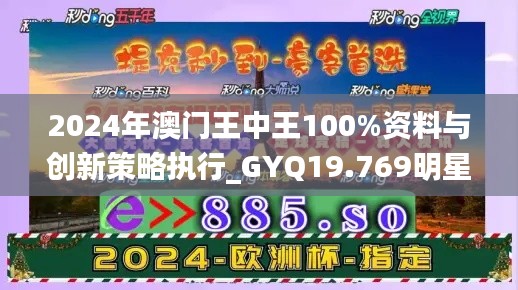 2024年澳门王中王100%资料与创新策略执行_GYQ19.769明星版