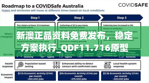 新澳正品资料免费发布，稳定方案执行_QDF11.716原型