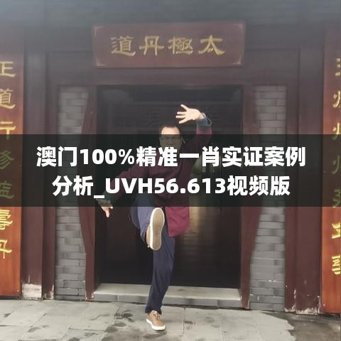 澳门100%精准一肖实证案例分析_UVH56.613视频版