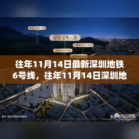 深圳地铁6号线最新动态与深度解析，历年11月14日进展回顾