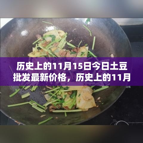 历史上的11月15日土豆批发最新价格解析及今日土豆价格查询指南