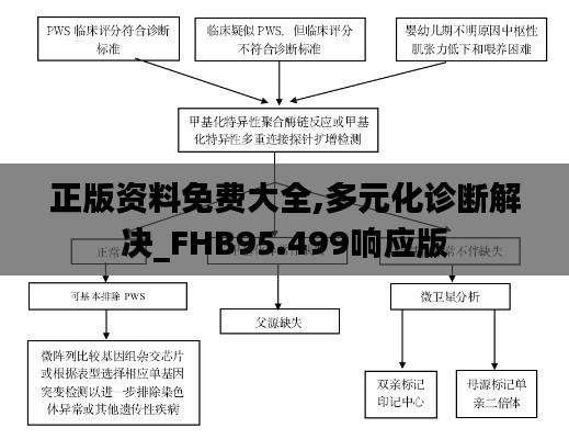 正版资料免费大全,多元化诊断解决_FHB95.499响应版