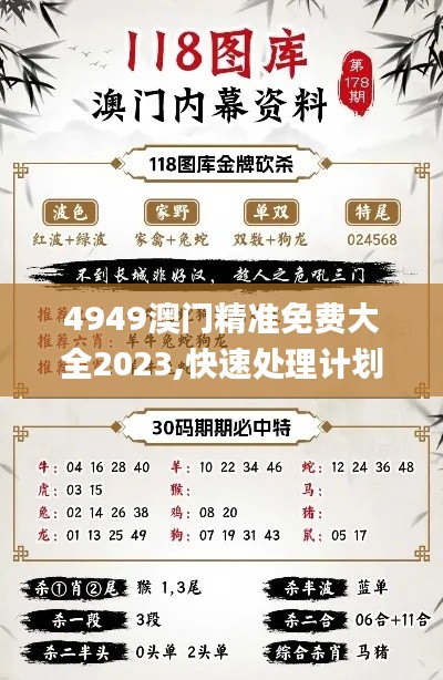 4949澳门精准免费大全2023,快速处理计划_YMU95.298按需版