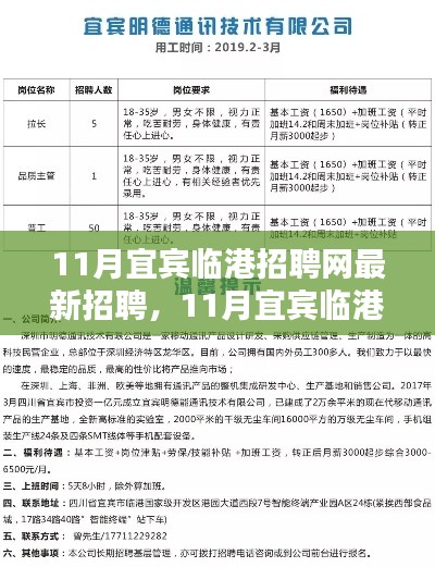 11月宜宾临港招聘网最新招聘产品全面评测与介绍