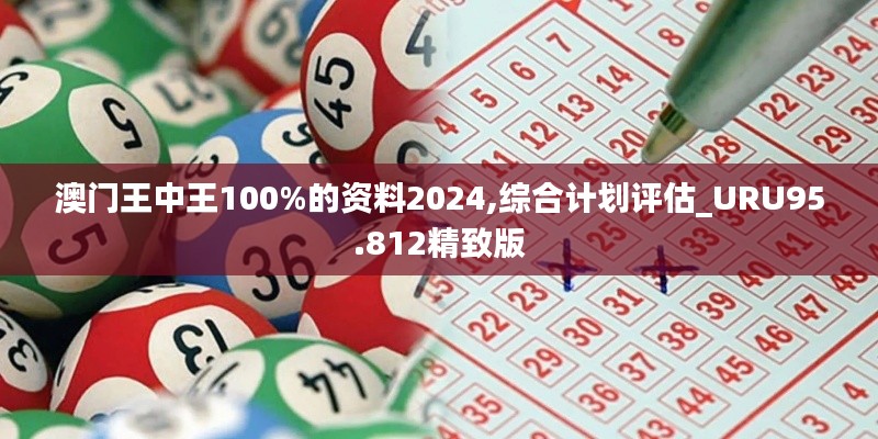 澳门王中王100%的资料2024,综合计划评估_URU95.812精致版