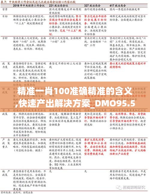 精准一肖100准确精准的含义,快速产出解决方案_DMO95.501设计师版