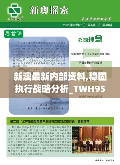 新澳最新内部资料,稳固执行战略分析_TWH95.315穿戴版