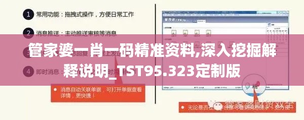 管家婆一肖一码精准资料,深入挖掘解释说明_TST95.323定制版