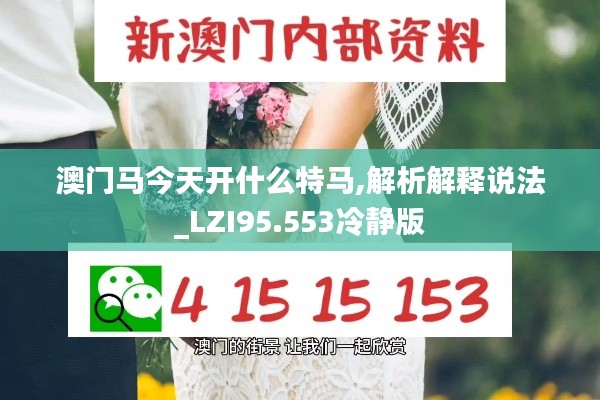 澳门马今天开什么特马,解析解释说法_LZI95.553冷静版