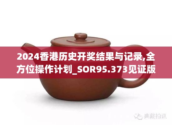 2024香港历史开奖结果与记录,全方位操作计划_SOR95.373见证版