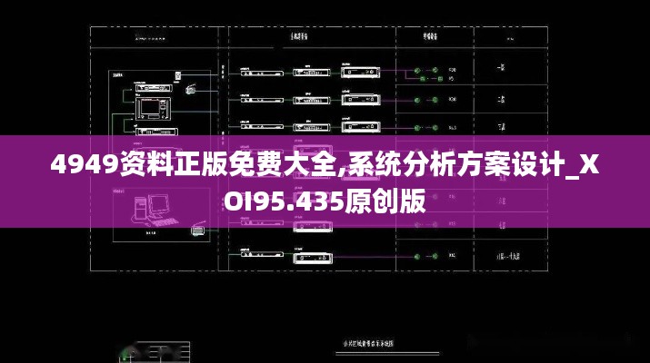 4949资料正版免费大全,系统分析方案设计_XOI95.435原创版