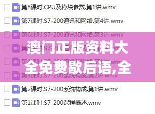 澳门正版资料大全免费歇后语,全面数据分析_VHV95.744限量版