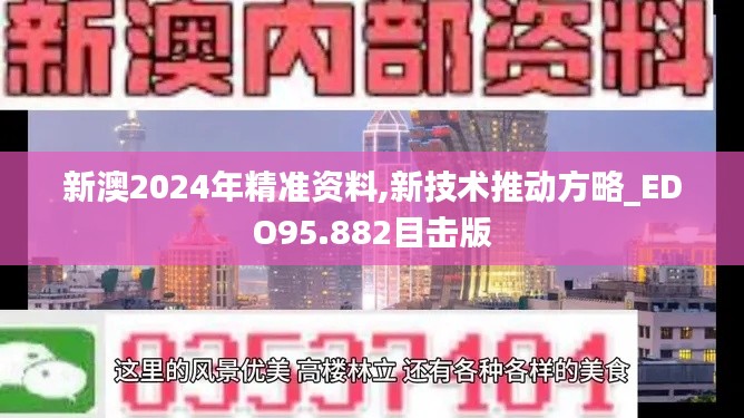 新澳2024年精准资料,新技术推动方略_EDO95.882目击版