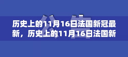 历史上的11月16日法国新冠疫情深度解析与最新动态记录