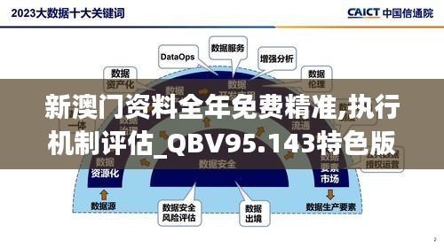 新澳门资料全年免费精准,执行机制评估_QBV95.143特色版