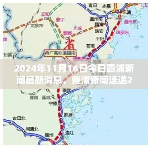 霞浦新闻速递，2024年11月16日最新消息与精彩瞬间回顾