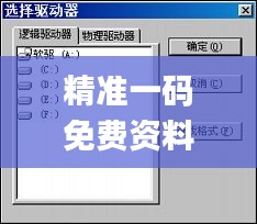 精准一码免费资料大全,数据驱动方案_GHA95.494精密版