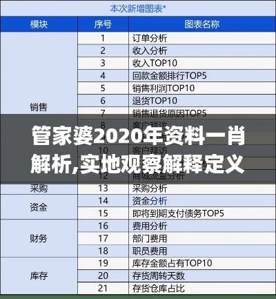 管家婆2020年资料一肖解析,实地观察解释定义_IFH95.211理想版