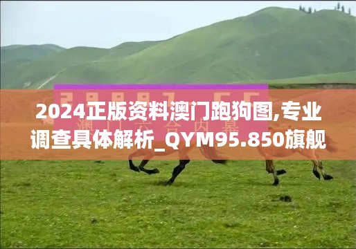 2024正版资料澳门跑狗图,专业调查具体解析_QYM95.850旗舰设备版