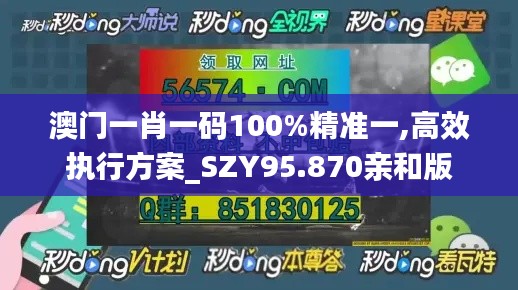 澳门一肖一码100%精准一,高效执行方案_SZY95.870亲和版