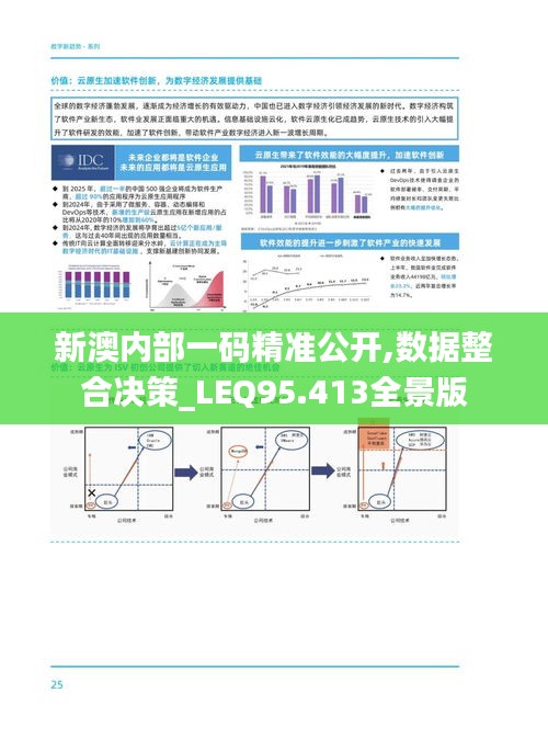 新澳内部一码精准公开,数据整合决策_LEQ95.413全景版