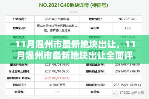 11月温州市最新地块出让全面解析，特性、体验、竞品对比及用户群体深度剖析