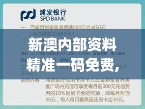 新澳内部资料精准一码免费,专业解读方案实施_HYX95.508炼髓境