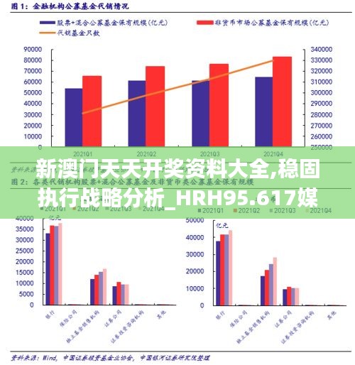 新澳门天天开奖资料大全,稳固执行战略分析_HRH95.617媒体宣传版