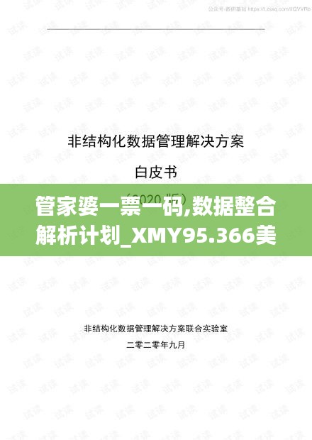 管家婆一票一码,数据整合解析计划_XMY95.366美学版