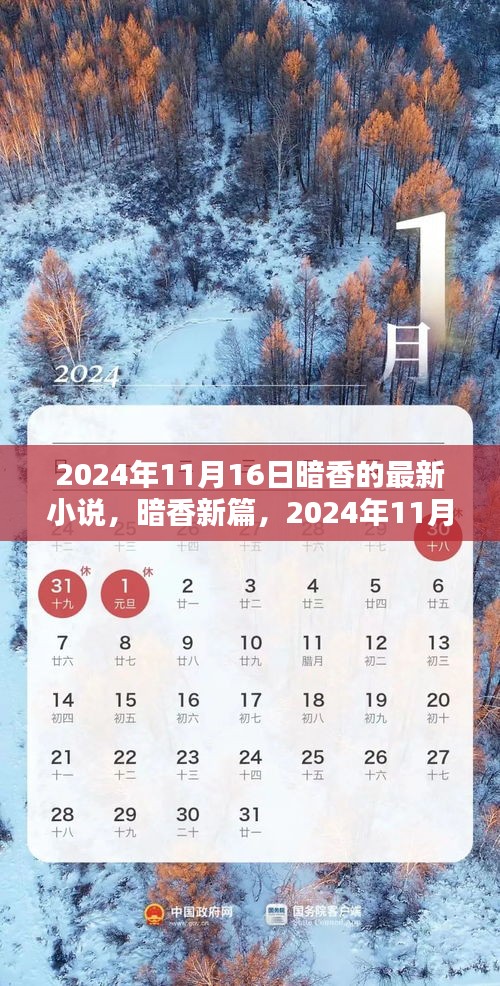 暗香新篇，心灵探寻之旅（2024年11月16日）