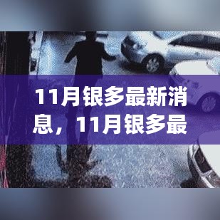 11月银多最新消息全面解读，掌握最新动态与操作指南