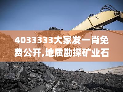 4033333大家发一肖免费公开,地质勘探矿业石油_YEX1.24.57SE版