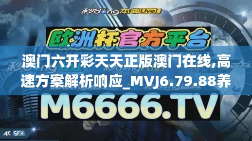 澳门六开彩天天正版澳门在线,高速方案解析响应_MVJ6.79.88养生版