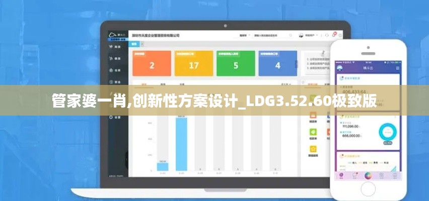 管家婆一肖,创新性方案设计_LDG3.52.60极致版