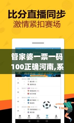 管家婆一票一码100正确河南,系统化评估说明_MYS4.64.37零售版