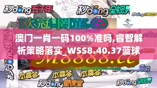 澳门一肖一码100%准吗,睿智解析策略落实_WSS8.40.37蓝球版