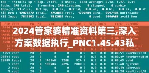 2024管家婆精准资料第三,深入方案数据执行_PNC1.45.43私人版