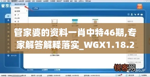 管家婆的资料一肖中特46期,专家解答解释落实_WGX1.18.27终身版