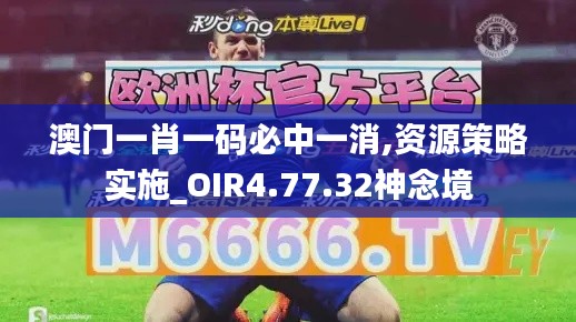 澳门一肖一码必中一消,资源策略实施_OIR4.77.32神念境