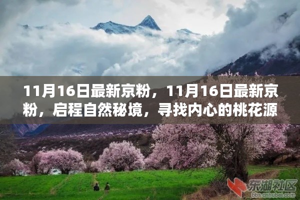 11月16日最新京粉启程，探寻自然秘境，寻觅内心桃花源