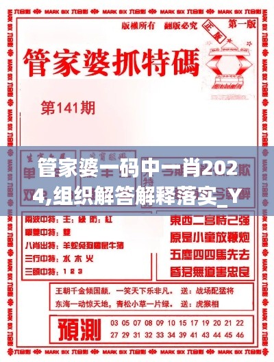 管家婆一码中一肖2024,组织解答解释落实_YXN1.15.90透明版