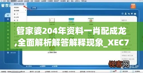 管家婆204年资料一肖配成龙,全面解析解答解释现象_XEC7.38.68解放版