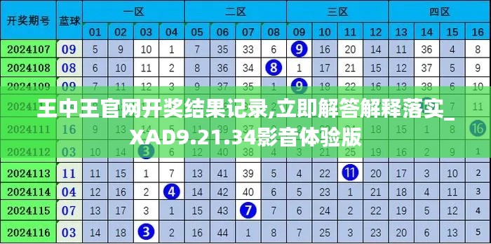 王中王官网开奖结果记录,立即解答解释落实_XAD9.21.34影音体验版