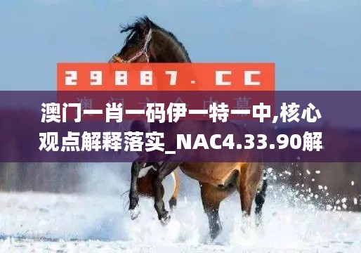 澳门一肖一码伊一特一中,核心观点解释落实_NAC4.33.90解题版