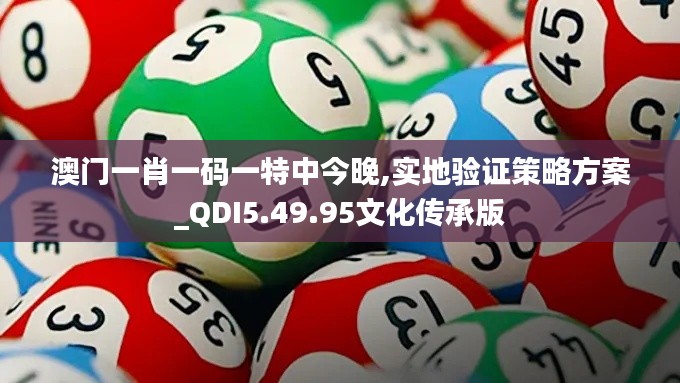 澳门一肖一码一特中今晚,实地验证策略方案_QDI5.49.95文化传承版